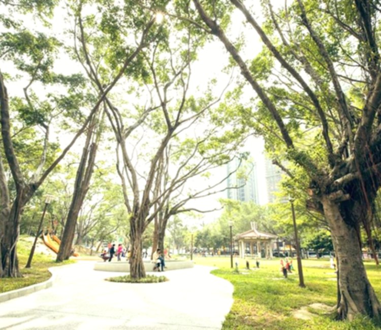 中央公園